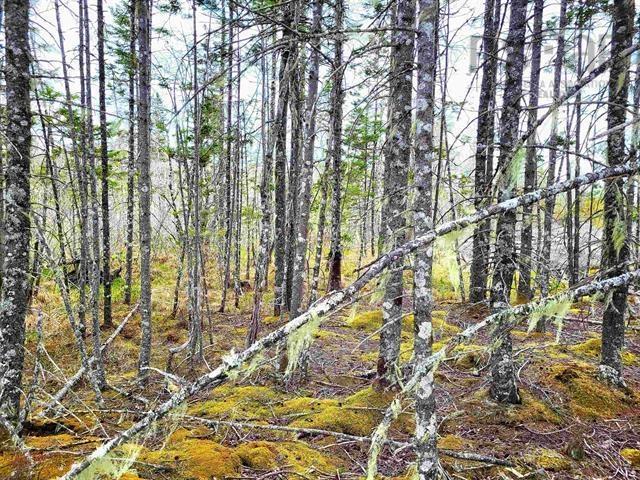 $69,900.00: Lot Back Road, Voglers Cove