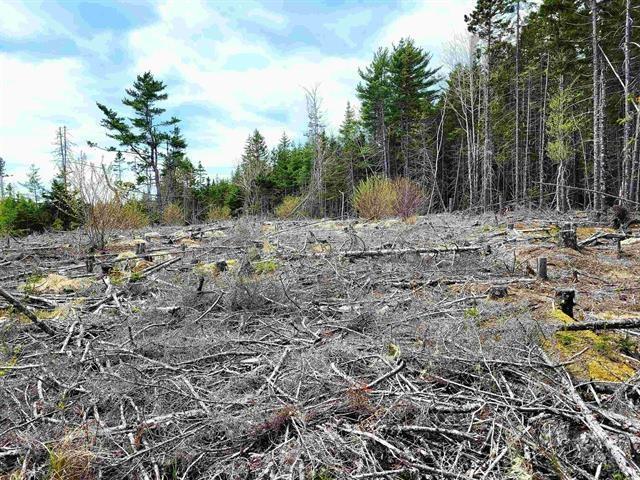 $69,900.00: Lot Back Road, Voglers Cove