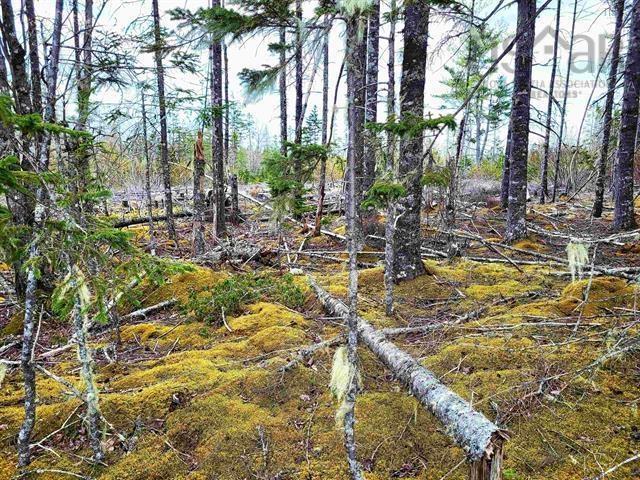 $69,900.00: Lot Back Road, Voglers Cove