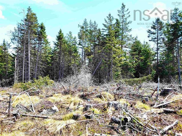 $69,900.00: Lot Back Road, Voglers Cove