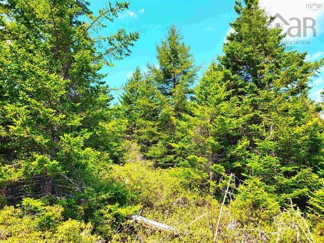 $69,900.00: Lot Back Road, Voglers Cove