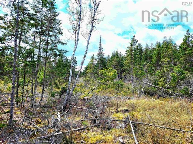 $69,900.00: Lot Back Road, Voglers Cove