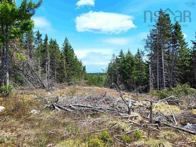 $69,900.00: Lot Back Road, Voglers Cove
