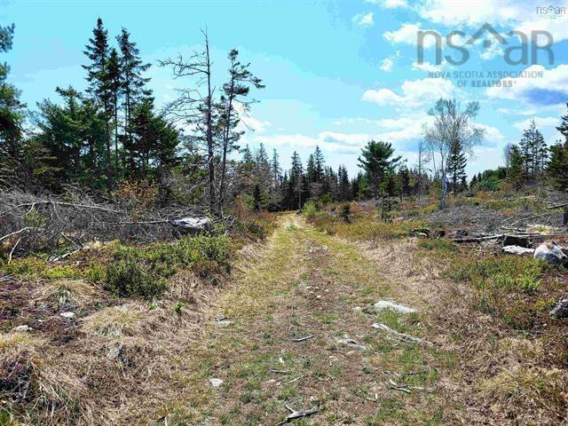 $69,900.00: Lot Back Road, Voglers Cove