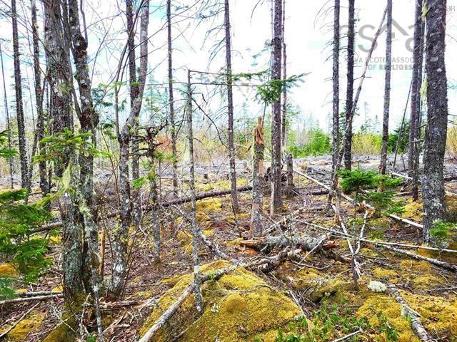 $69,900.00: Lot Back Road, Voglers Cove
