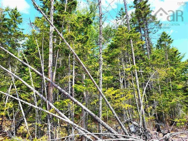 $69,900.00: Lot Back Road, Voglers Cove