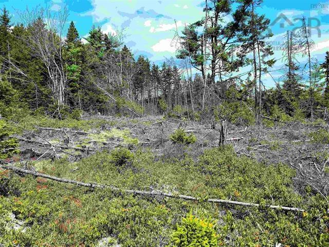 $69,900.00: Lot Back Road, Voglers Cove