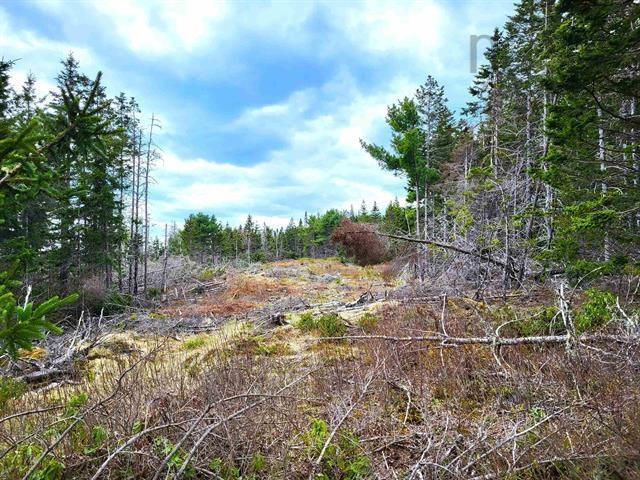 $69,900.00: Lot Back Road, Voglers Cove