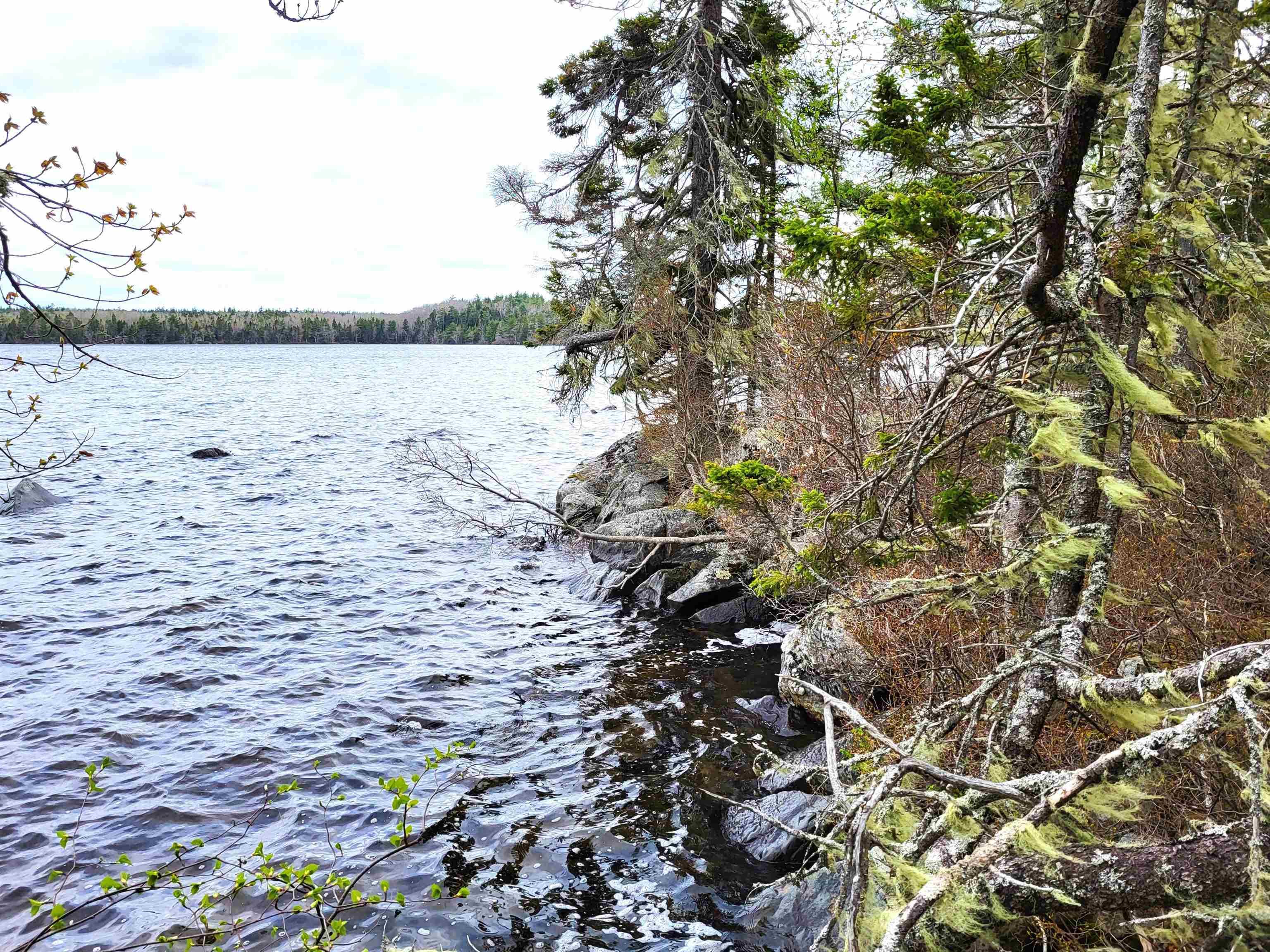 $139,900.00: Lot Hirtle Road, Voglers Cove