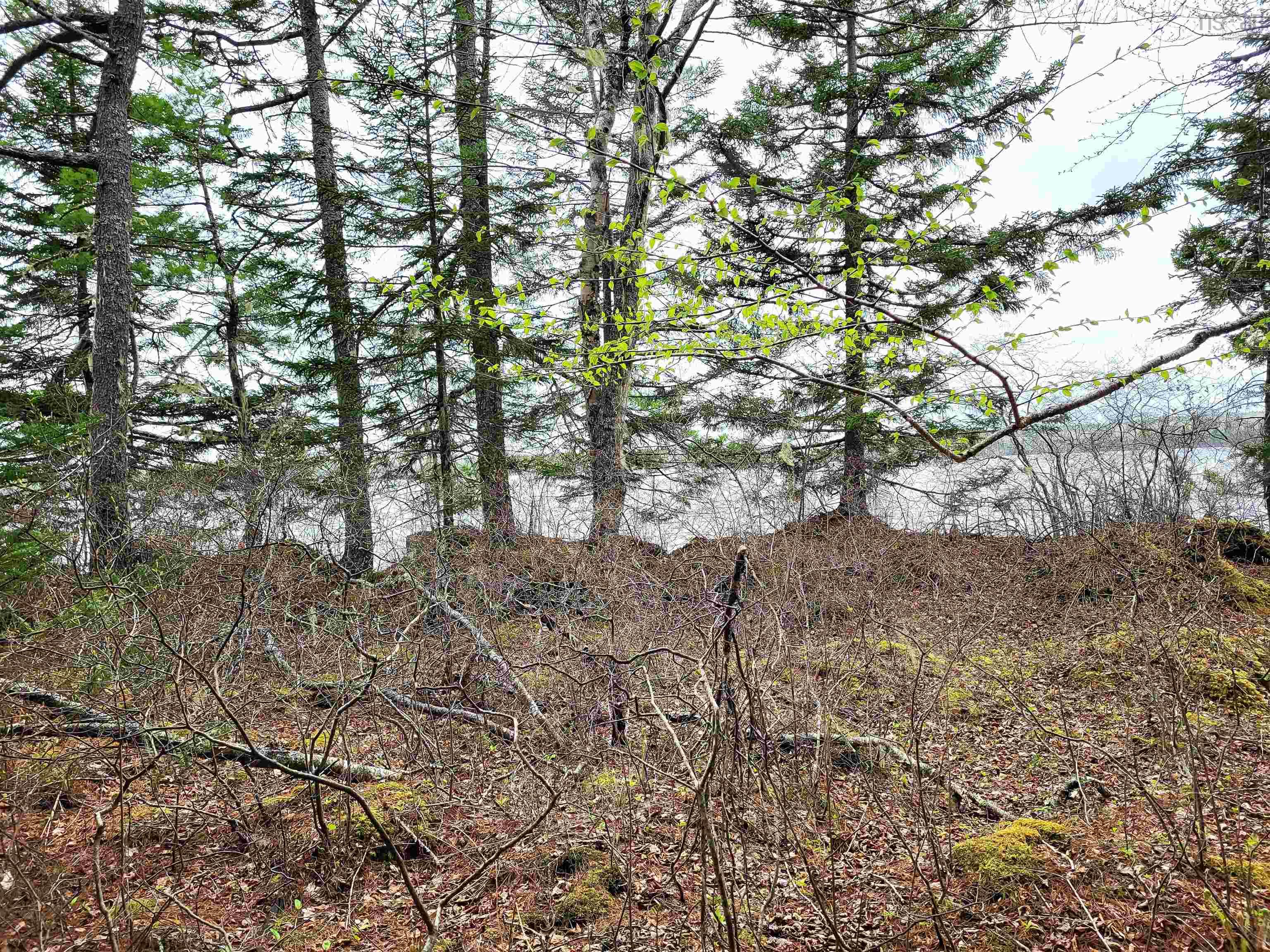 $139,900.00: Lot Hirtle Road, Voglers Cove