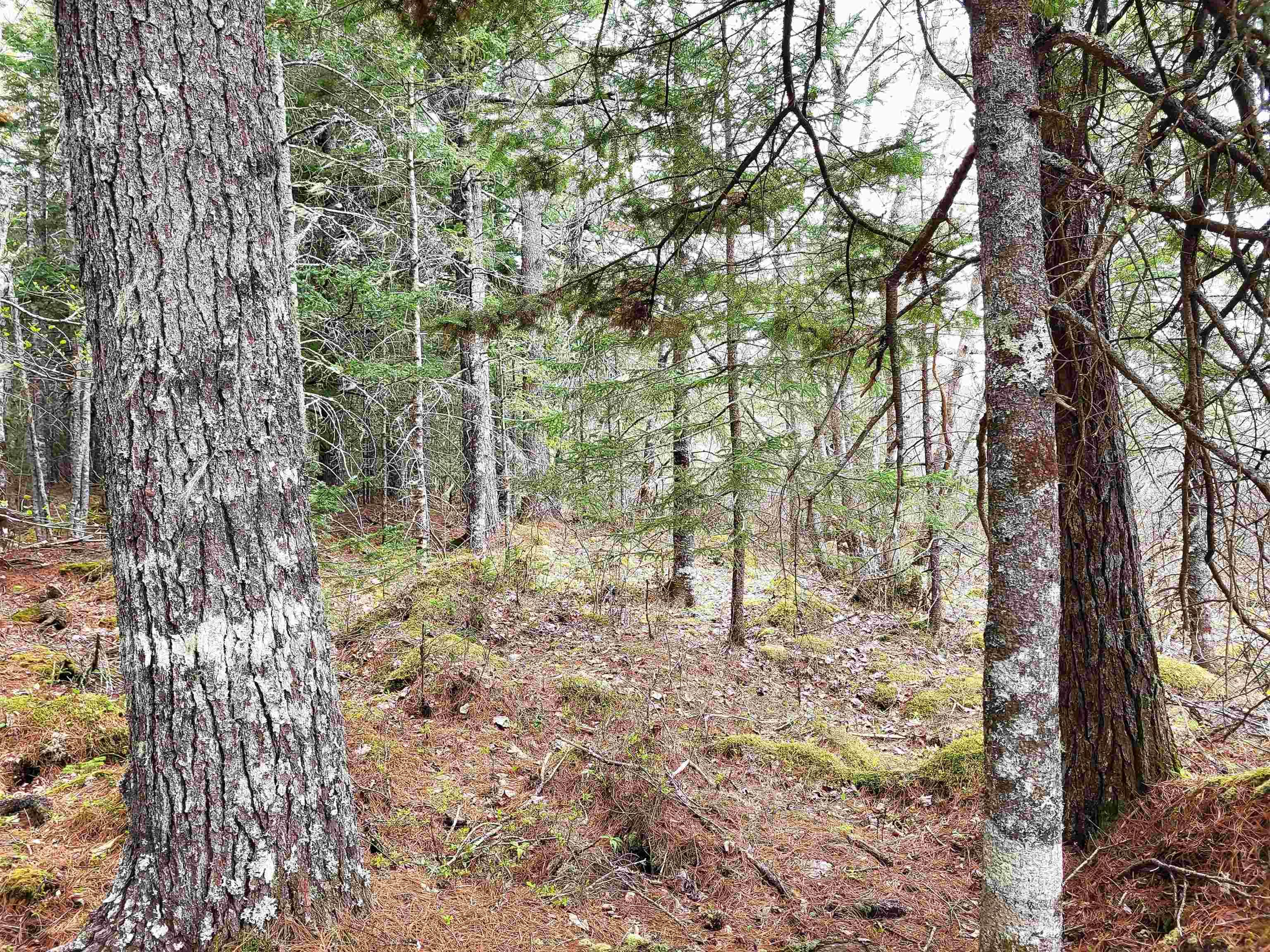 $139,900.00: Lot Hirtle Road, Voglers Cove