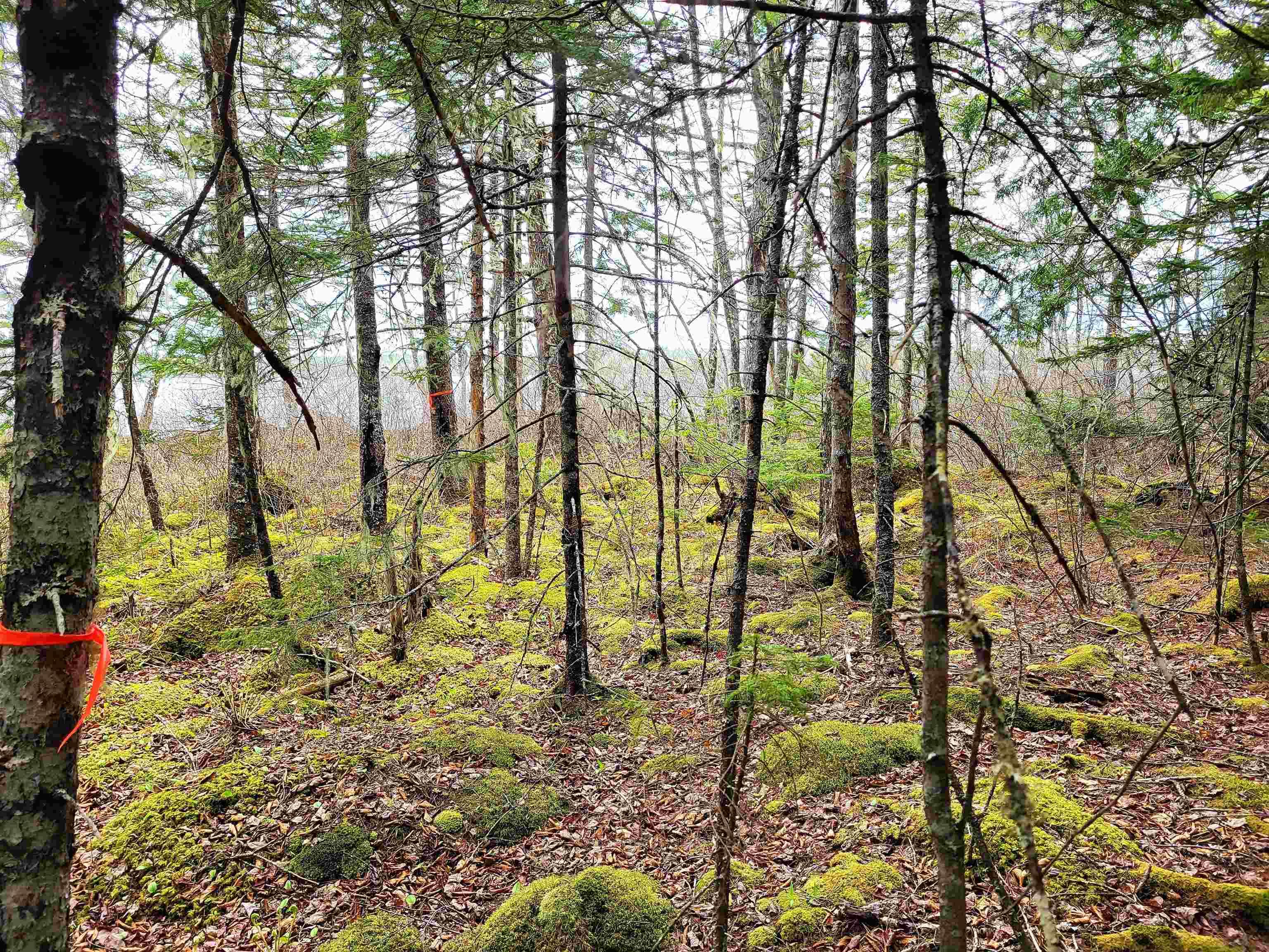 $139,900.00: Lot Hirtle Road, Voglers Cove