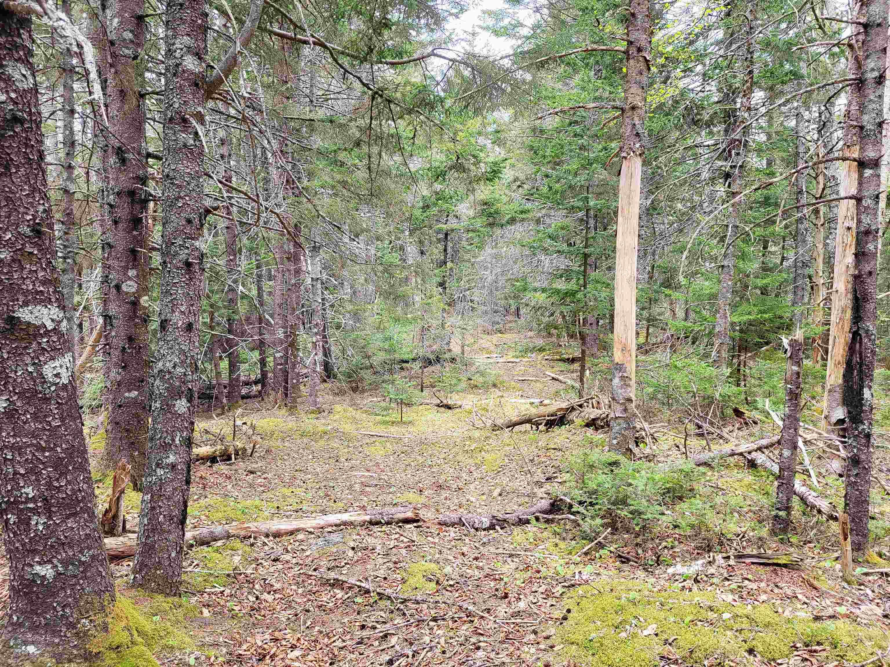 $139,900.00: Lot Hirtle Road, Voglers Cove