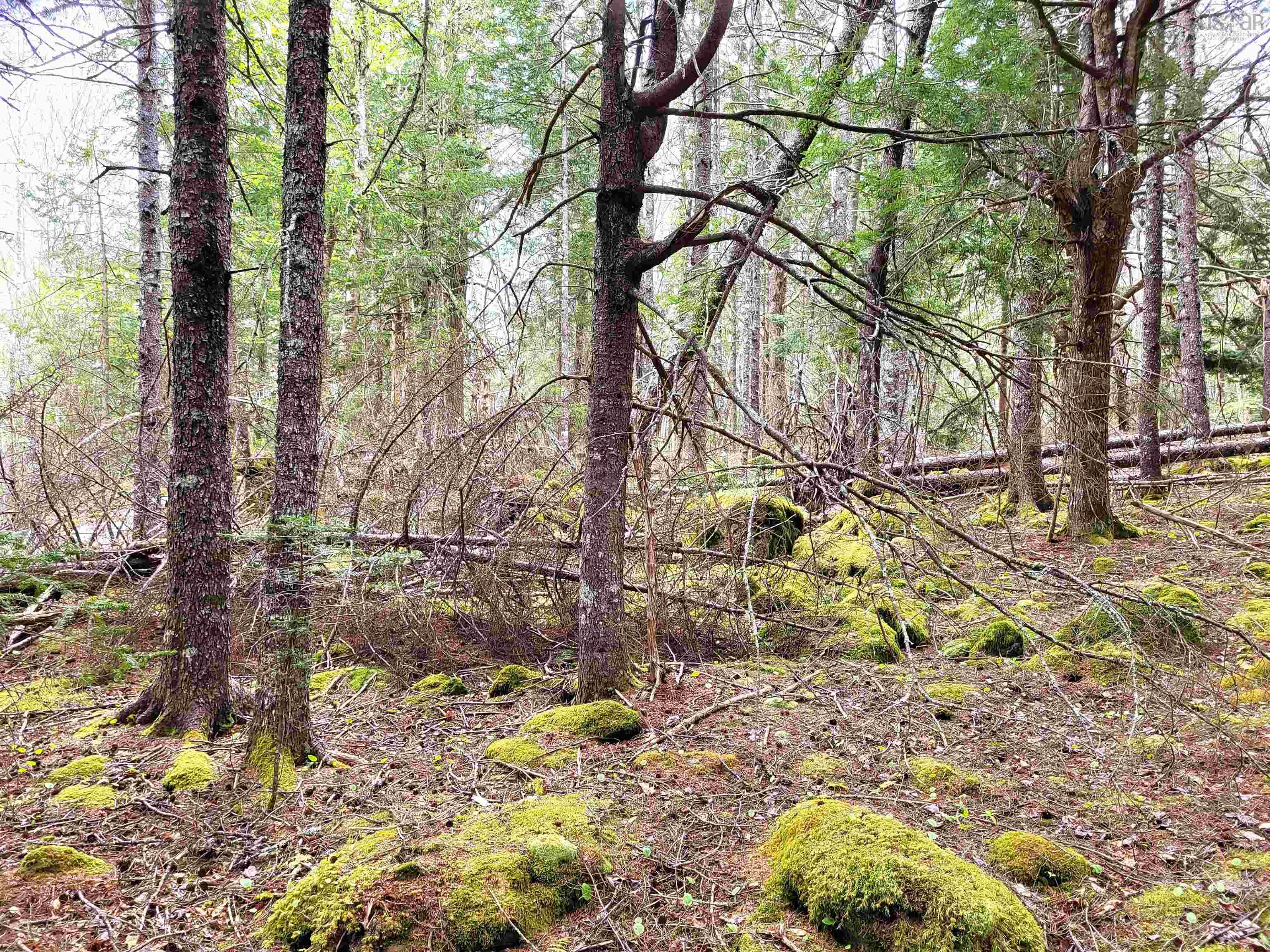 $139,900.00: Lot Hirtle Road, Voglers Cove