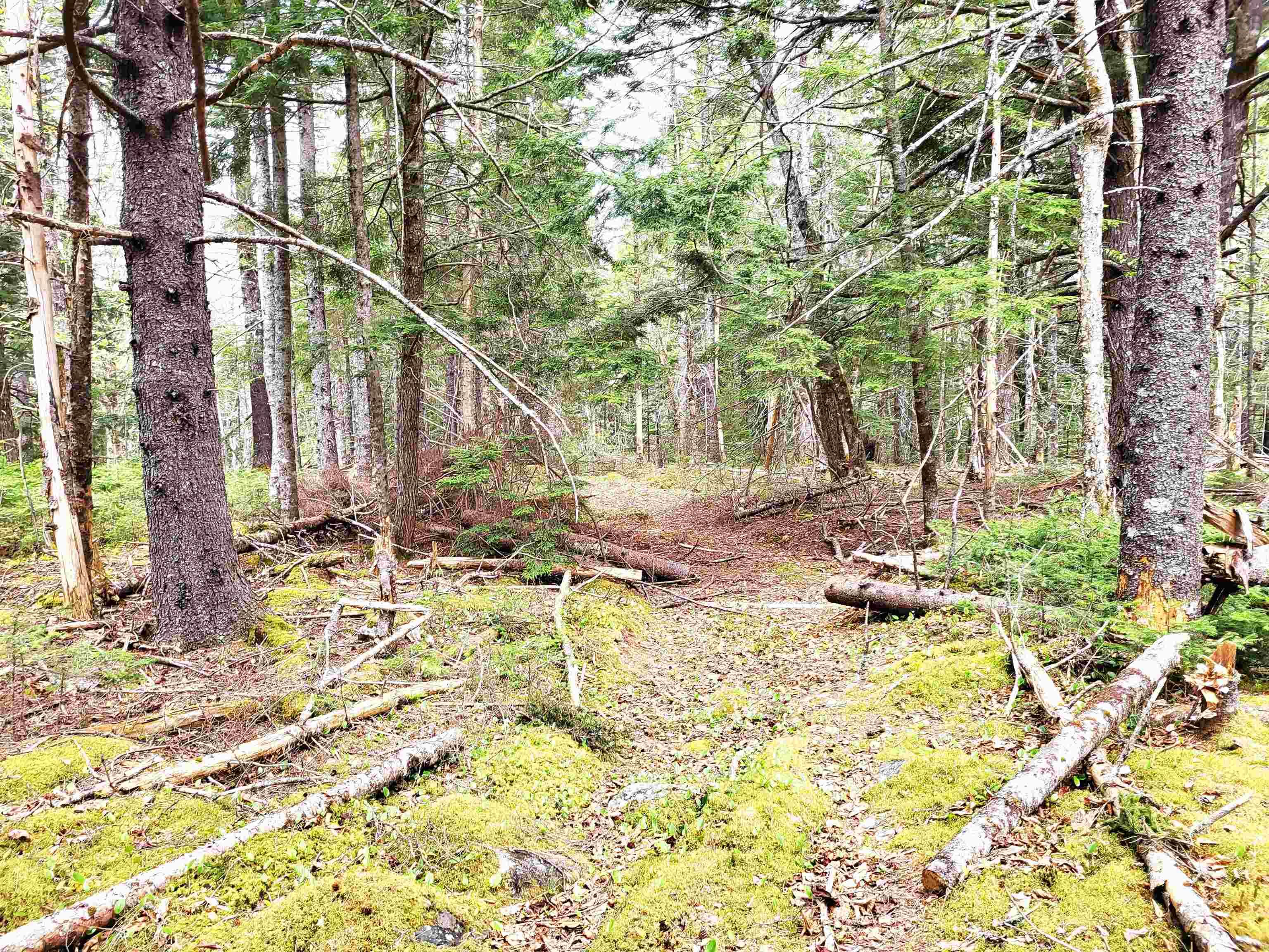 $139,900.00: Lot Hirtle Road, Voglers Cove