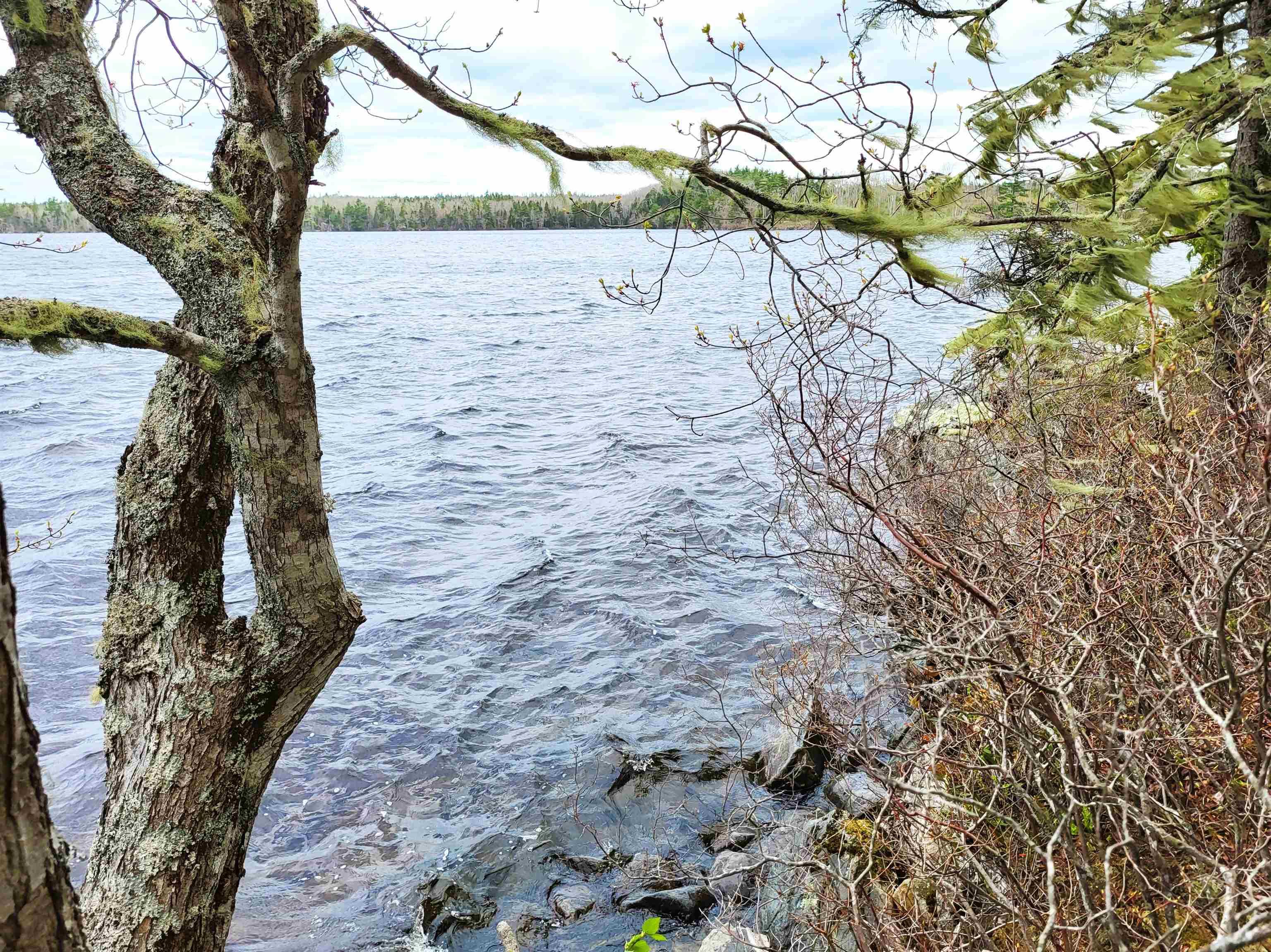 $139,900.00: Lot Hirtle Road, Voglers Cove
