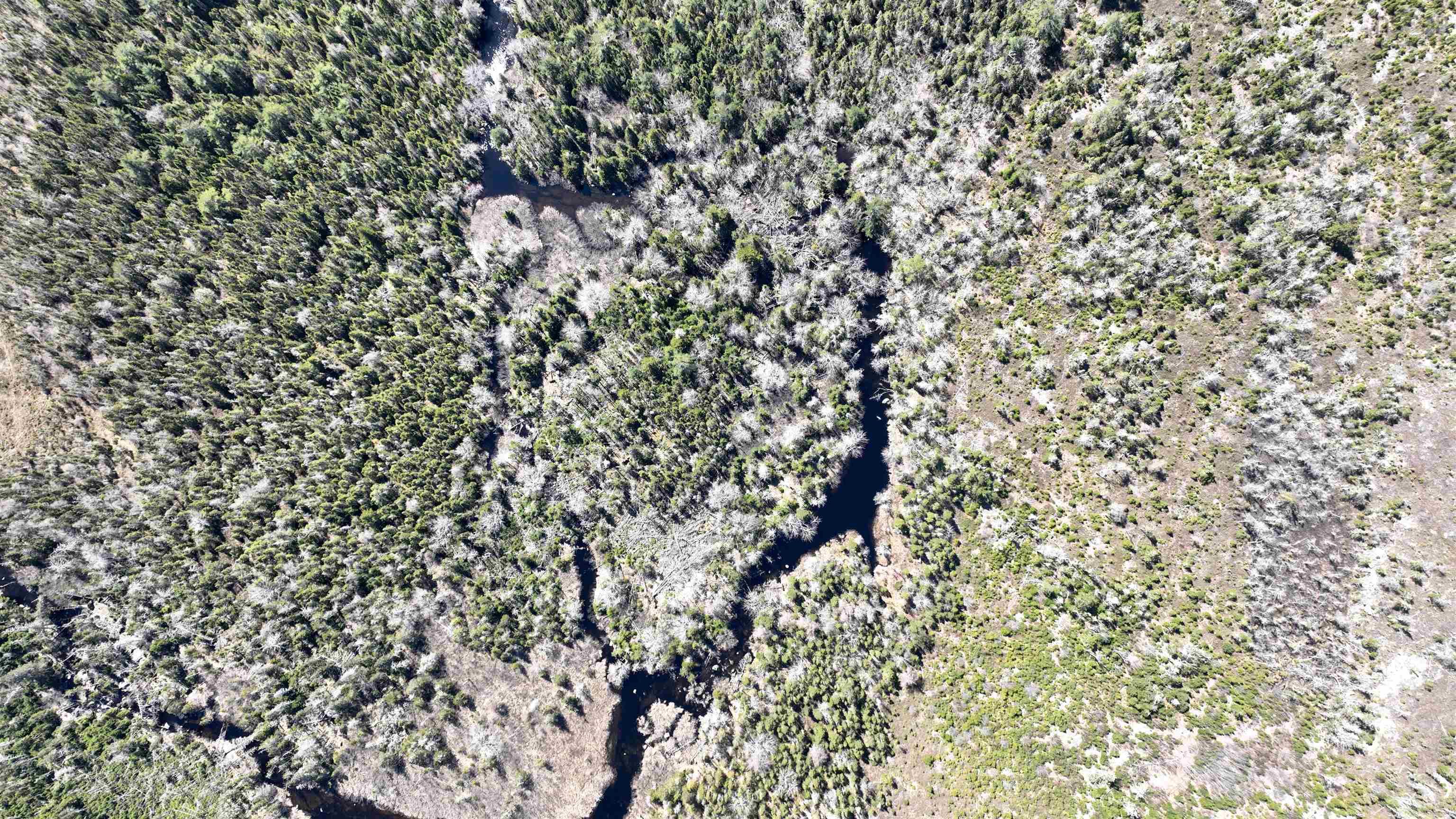 $89,900.00: Lot Hirtle Road, Voglers Cove