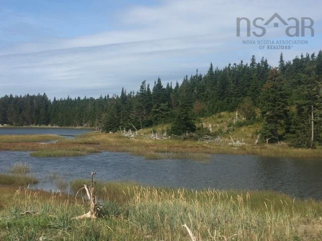 $99,000.00: Grand Gully Island, River Tillard