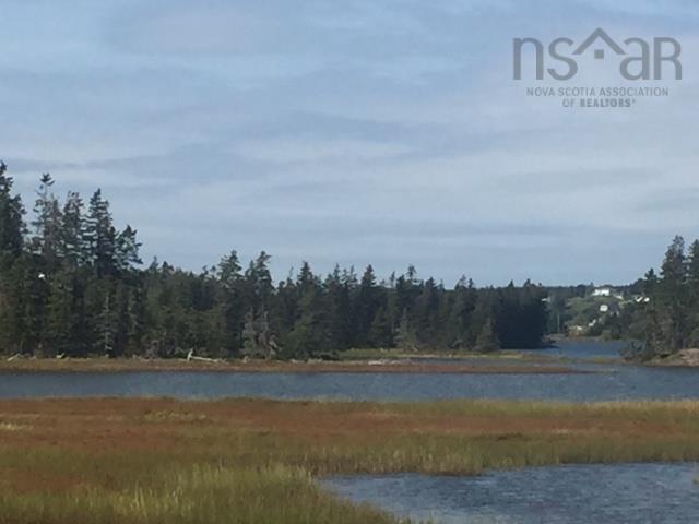 $99,000.00: Grand Gully Island, River Tillard