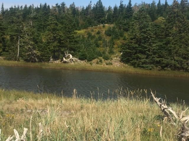 $99,000.00: Grand Gully Island, River Tillard