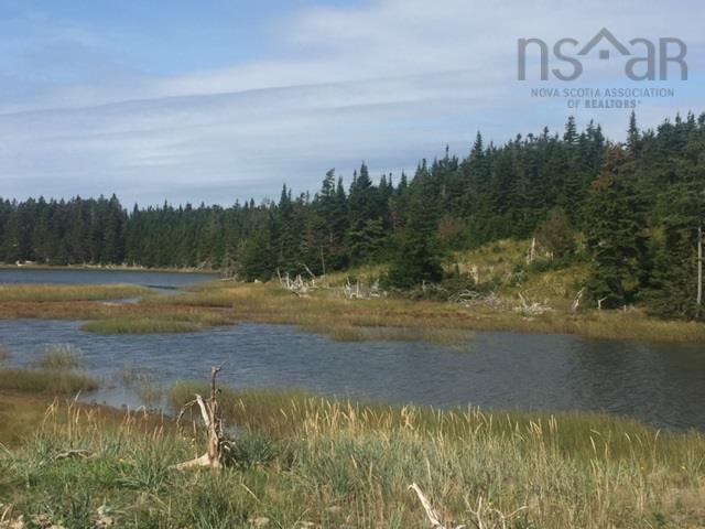 $99,000.00: Grand Gully Island, River Tillard