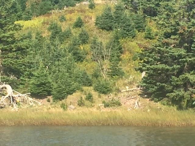 $99,000.00: Grand Gully Island, River Tillard