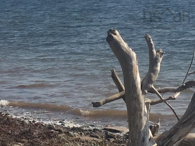 $99,000.00: Grand Gully Island, River Tillard