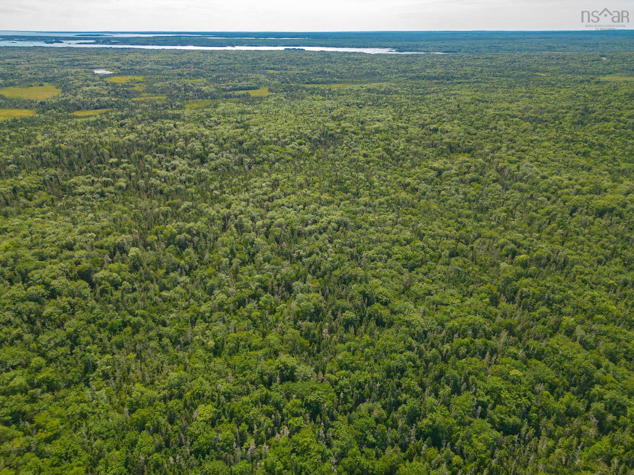 $195,000.00: 1694 West Sable Road, Louis Head