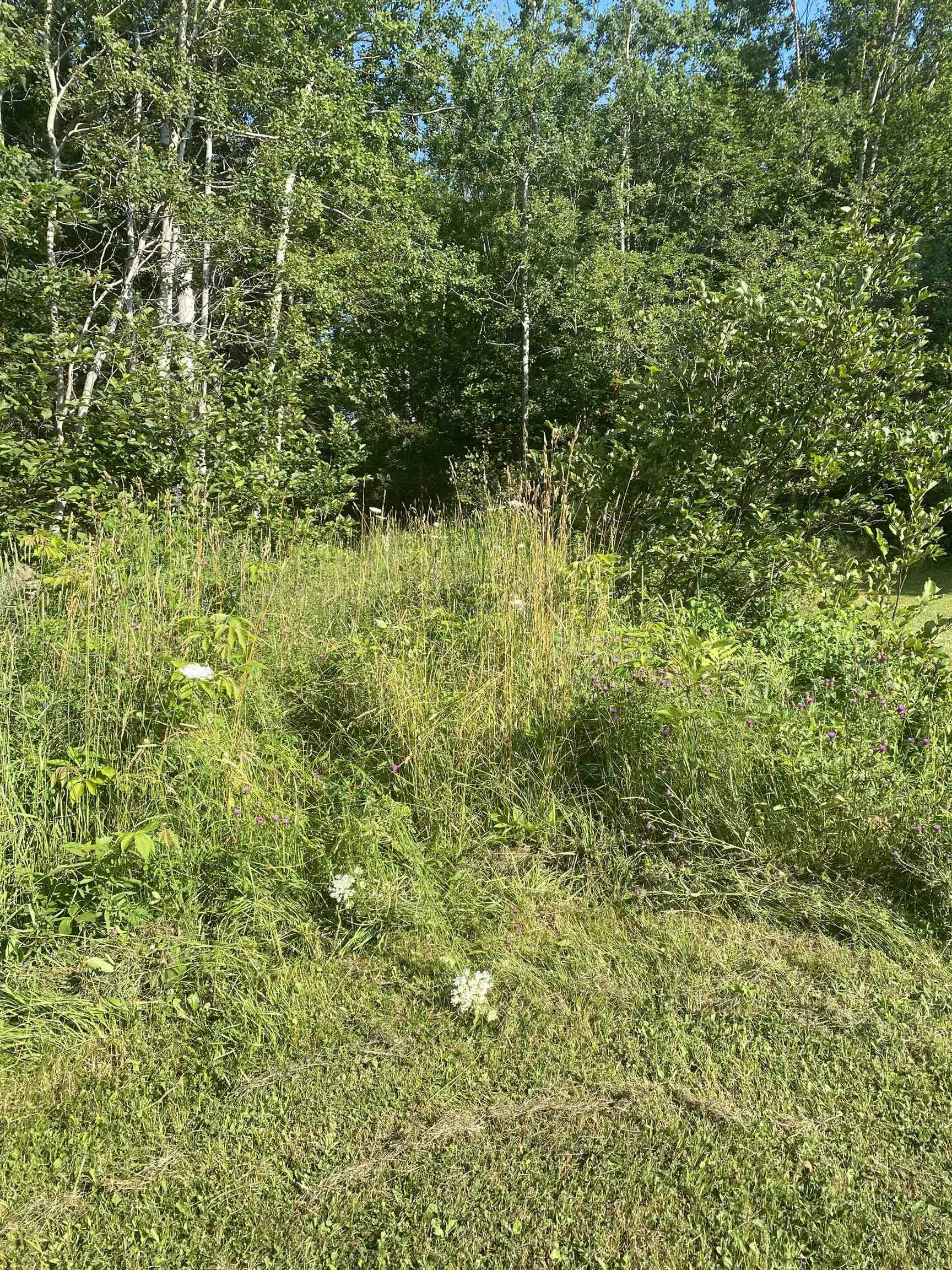 $15,000.00: 0 Georges River Road, Georges River