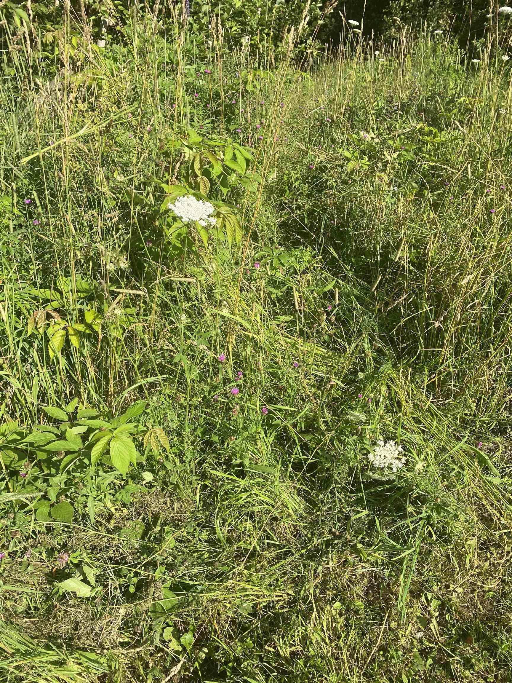 $15,000.00: 0 Georges River Road, Georges River