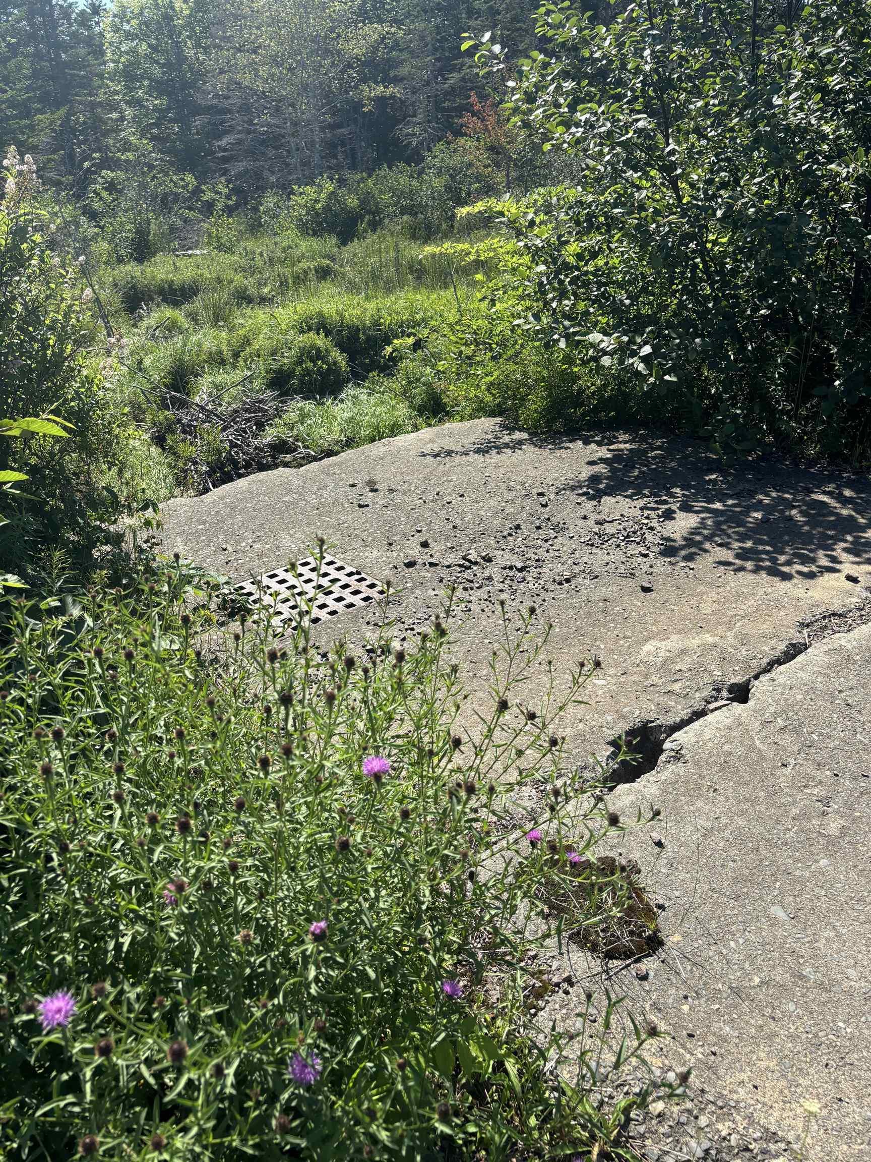 $499,000.00: Robicheau Road, Waterford