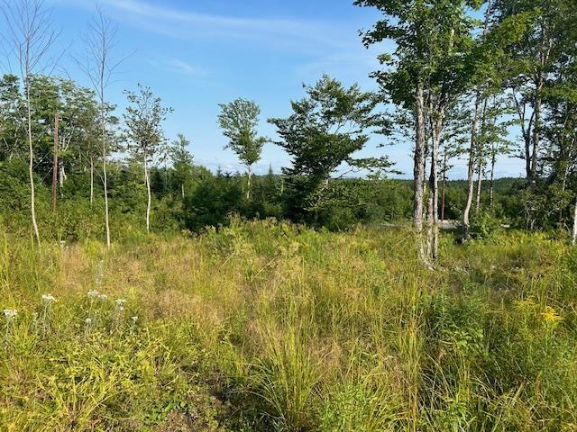 $105,000.00: Lot 5 Highland Drive, Ardoise