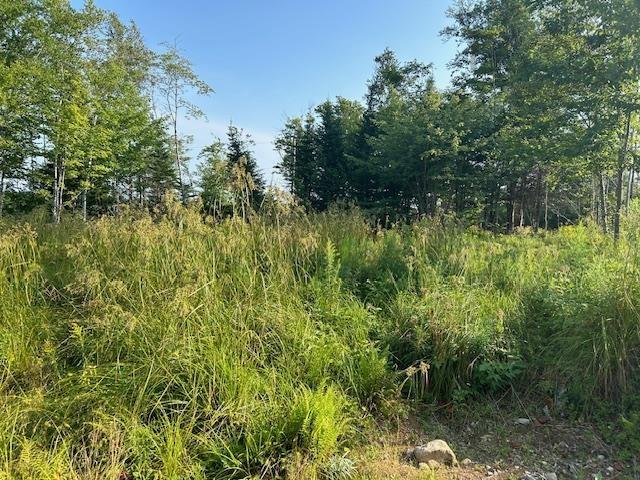 $105,000.00: Lot 5 Highland Drive, Ardoise