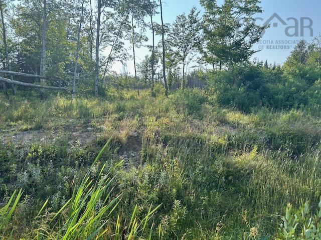 $105,000.00: Lot 5 Highland Drive, Ardoise