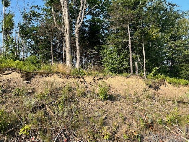 $105,000.00: Lot 5 Highland Drive, Ardoise