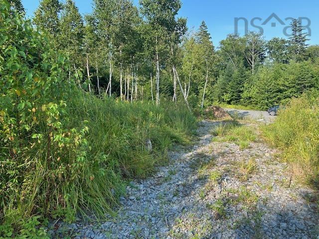 $105,000.00: Lot 5 Highland Drive, Ardoise