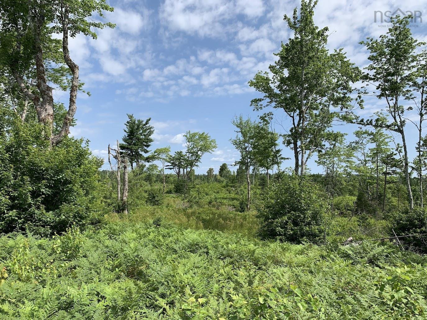 $45,000.00: Lot 3 Pleasant River Preserve, Pleasant River