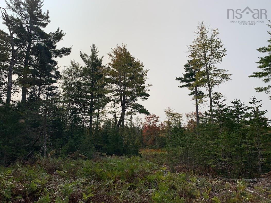 $45,000.00: Lot 3 Pleasant River Preserve, Pleasant River