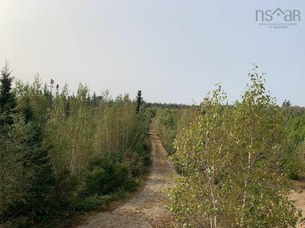 $45,000.00: Lot 3 Pleasant River Preserve, Pleasant River