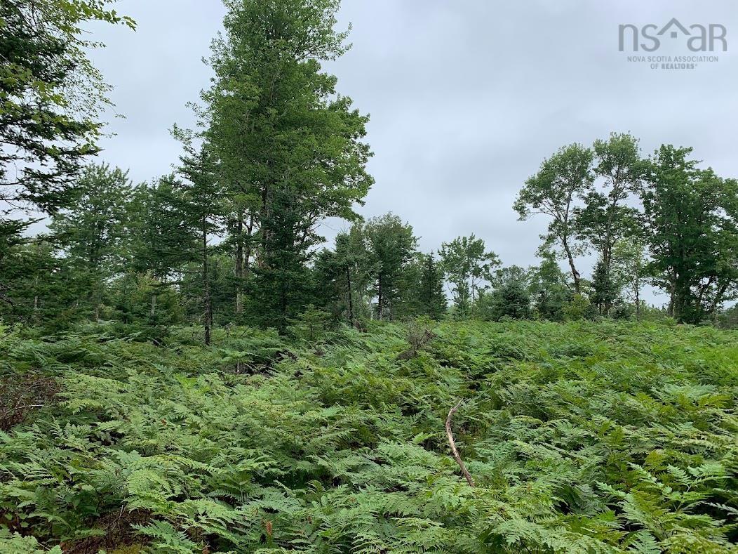 $35,000.00: Lot 5 Pleasant River Preserve, Pleasant River
