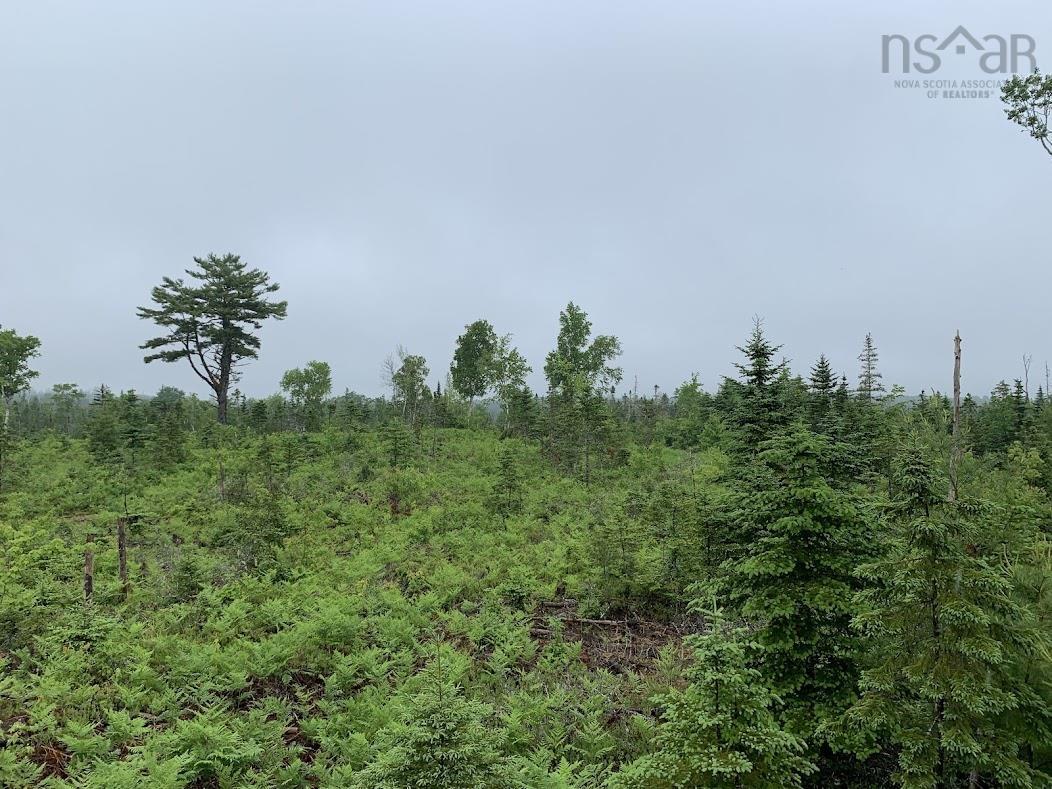 $35,000.00: Lot 5 Pleasant River Preserve, Pleasant River