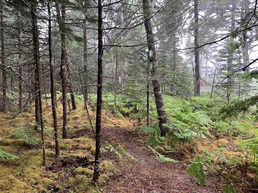 $35,000.00: Lot 5 Pleasant River Preserve, Pleasant River
