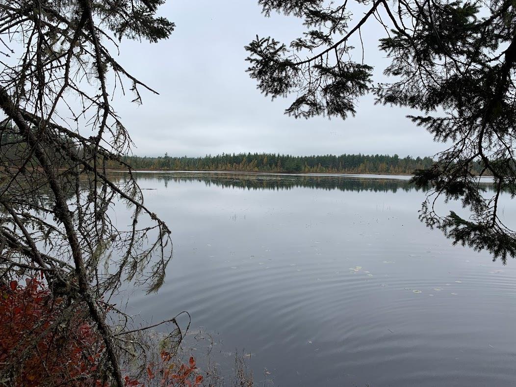 $35,000.00: Lot 5 Pleasant River Preserve, Pleasant River