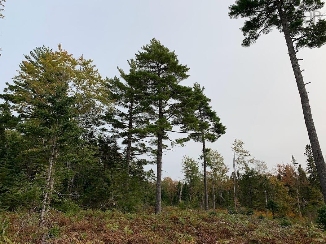 $35,000.00: Lot 5 Pleasant River Preserve, Pleasant River