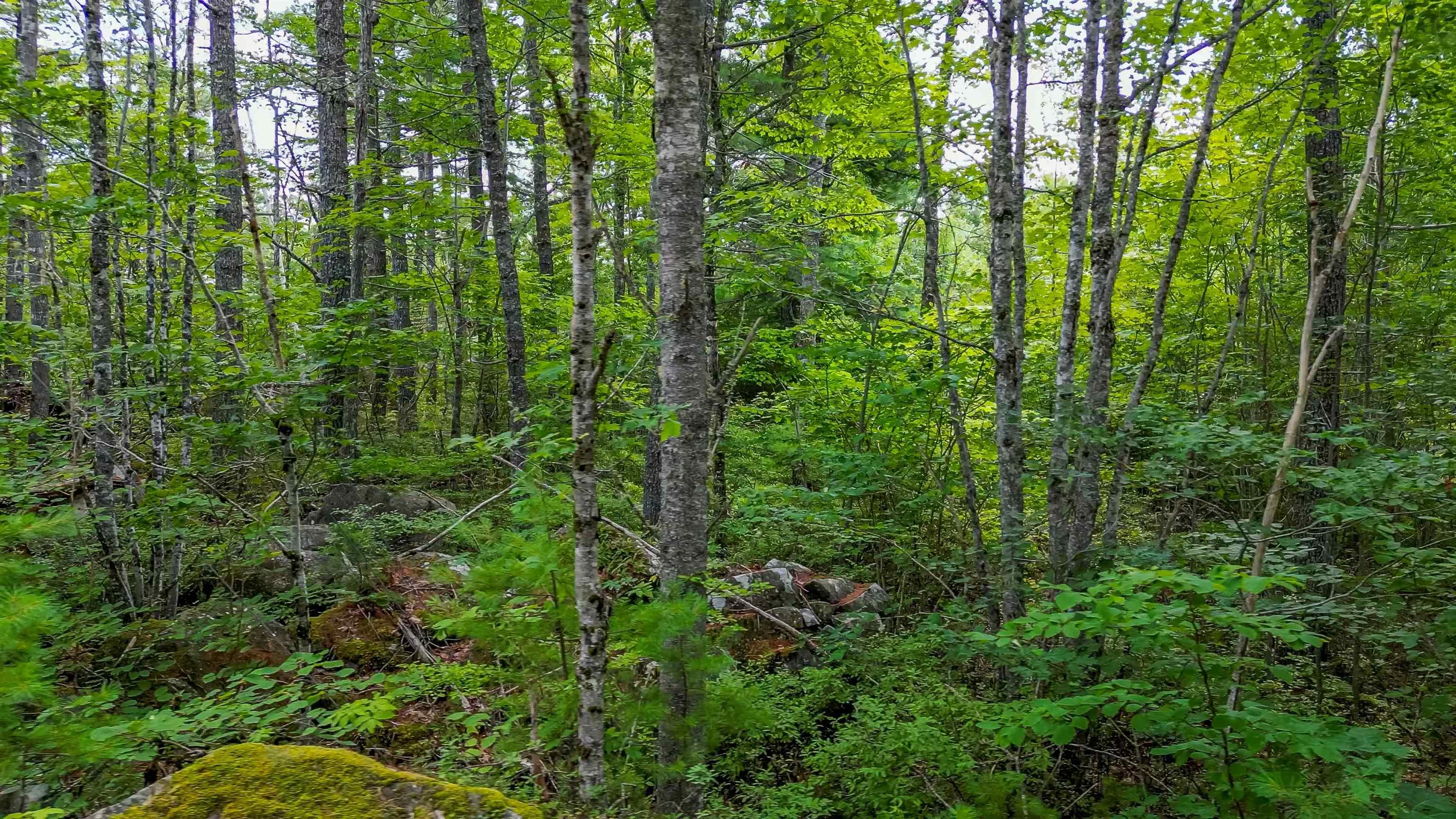 $21,500.00: Lot 37 Pine island Drive, Labelle