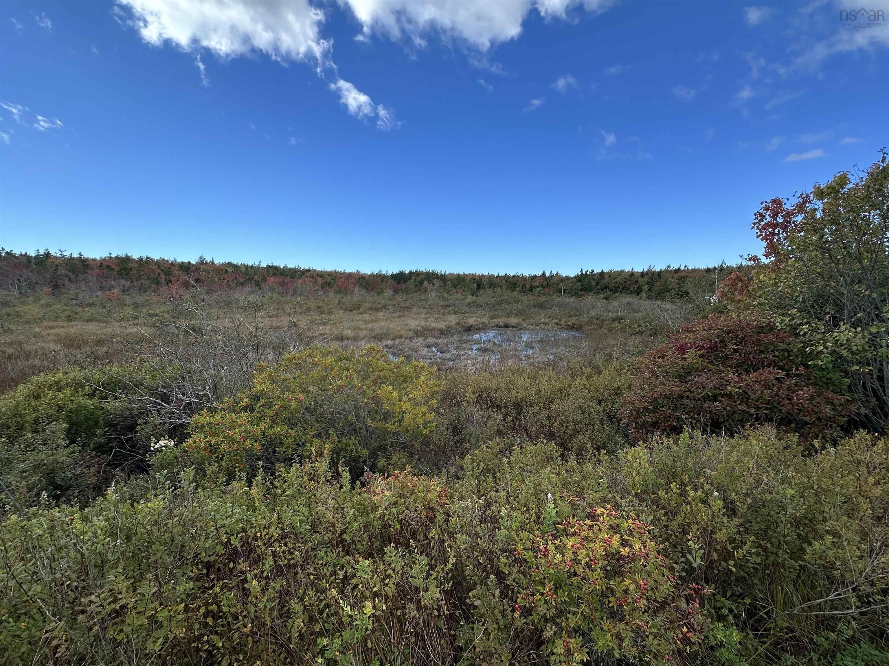 $20,000.00: Highway 334, Plymouth