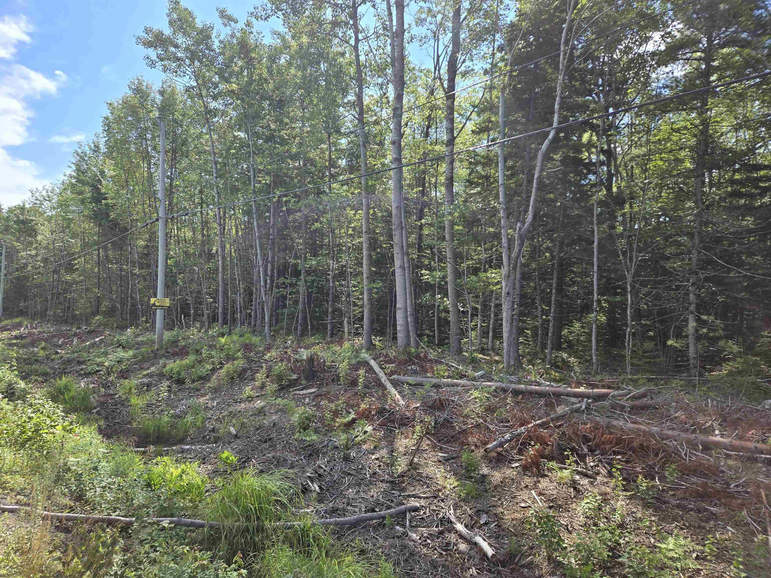 $119,000.00: Lot 1 Conquerall Road, Conquerall Bank