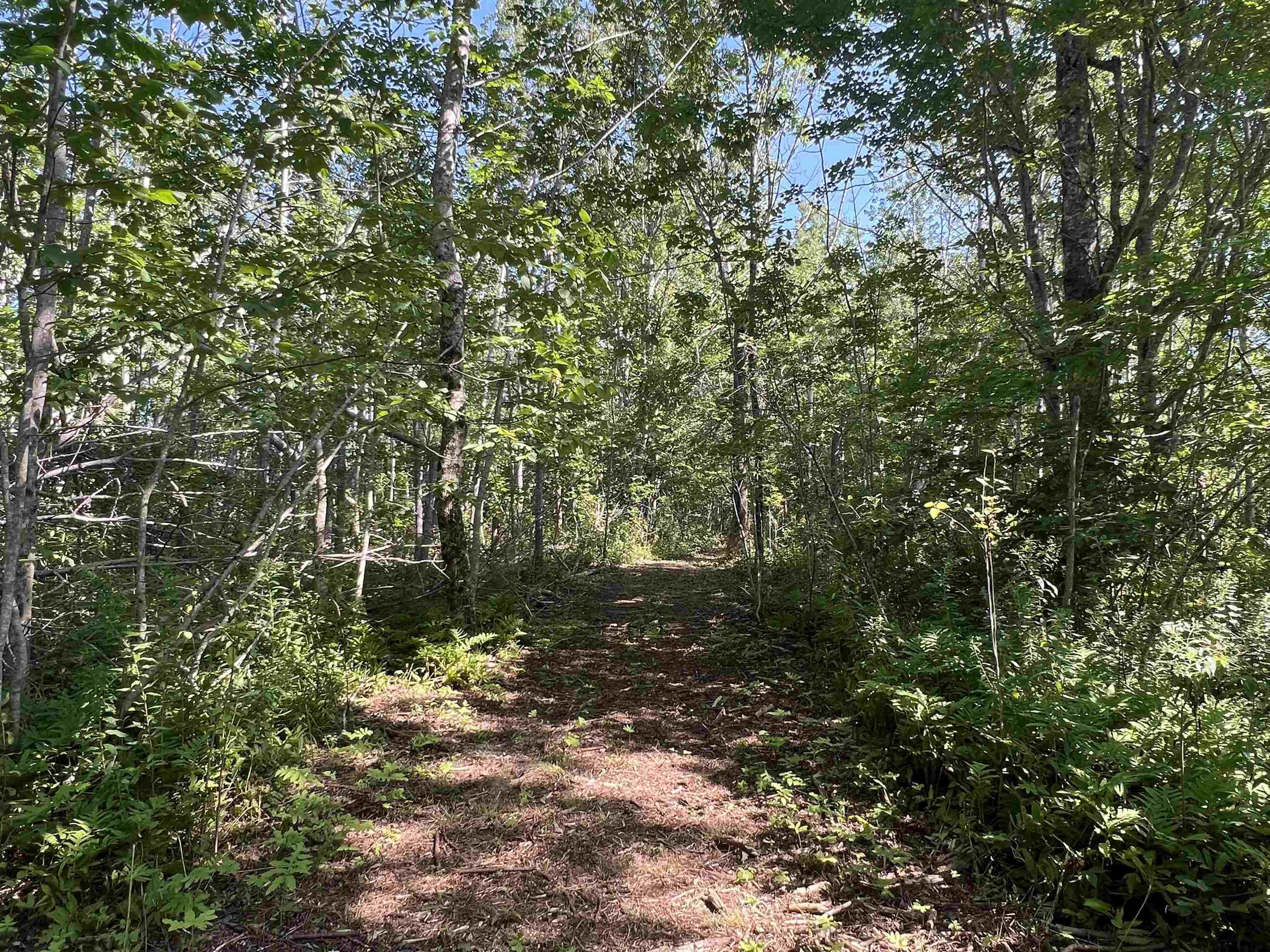 $149,900.00: Lot 4-1A2 Loch Broom Road, Loch Broom