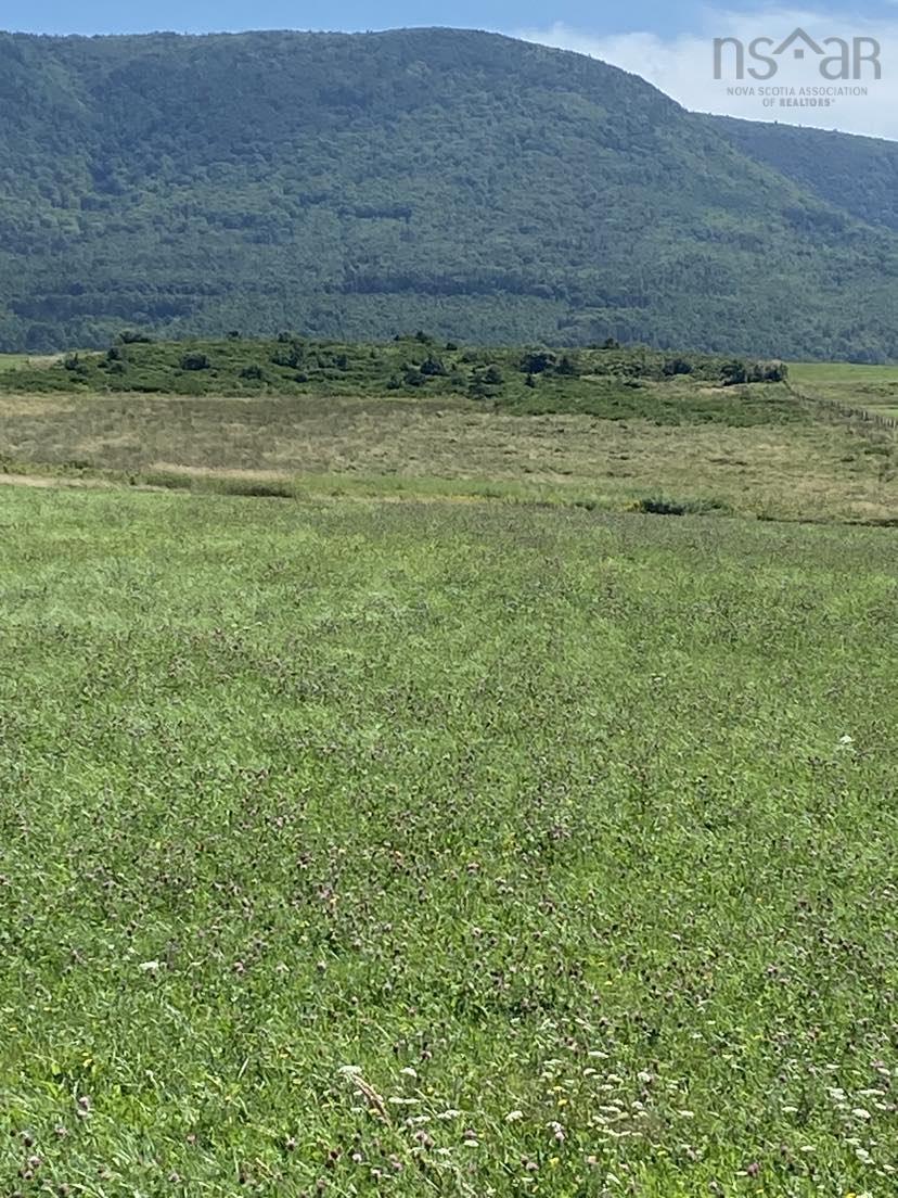 $50,000.00: Cabot Trail, Grand Étang