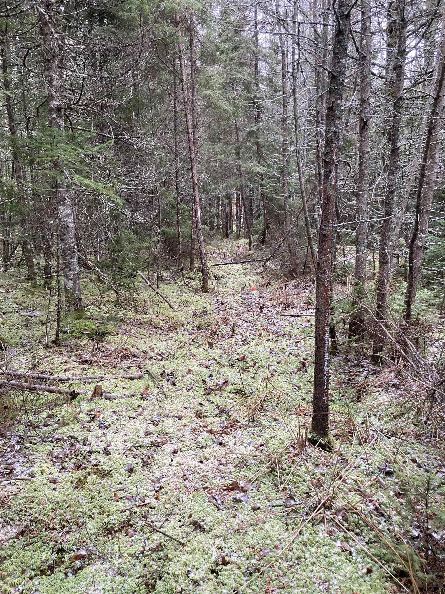 $22,000.00: Lot 2022-1 Country Harbour Road, Cross Roads Country Harbour